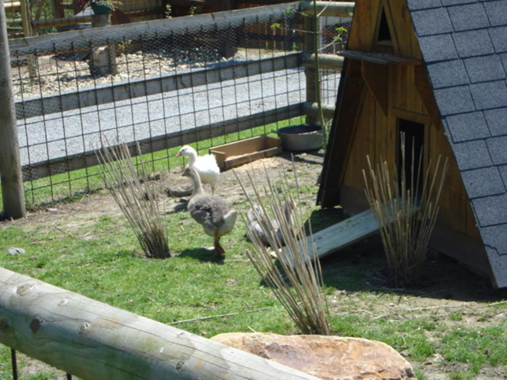 Camping Saint Michel Courtils Dış mekan fotoğraf
